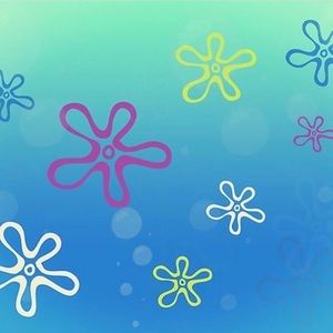 Meet your Posher, Sabrina